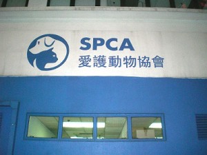The Society of the Prevention of Cruelty to Animals