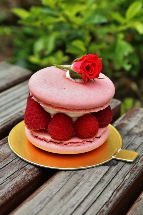 Raspberry Rose Macaron