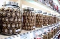 多様な商品、守られていく伝統…奥深い香港の乾物の世界 海味街