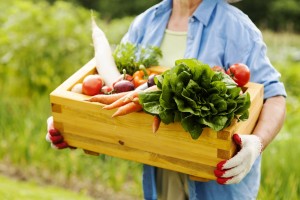 18184412 - senior woman holding box with vegetables