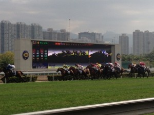 季節限定_香港国際競馬観戦4