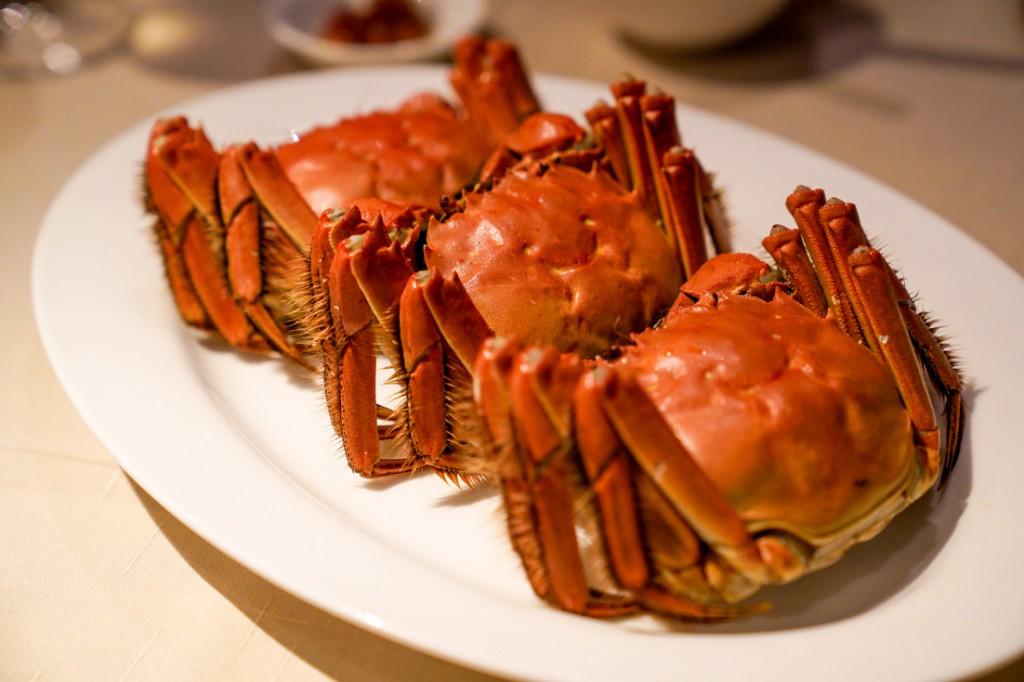 香港11月上海蟹