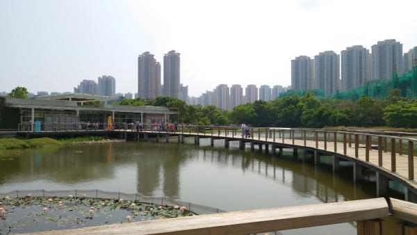 緑の奥に高いマンションが建っている風景がなんとも香港らしい