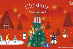 ディスカバリーベイのクリスマス Christmas Wonderland