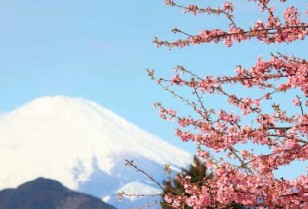 富士山への来訪外国人数や意識調査（フジヤマNAVI調べ）