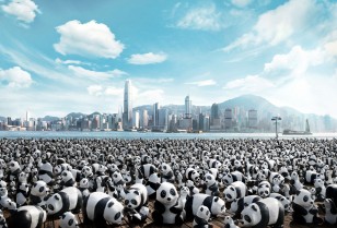 1600匹のパンダ「1600 Pandas World Tour」香港上陸！
