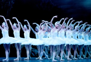 イングリッシュ・ナショナル・バレエ団公演の「コッペリアと白鳥の湖」広州