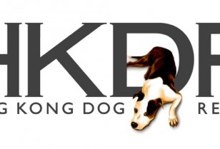 犬を保護する団体機関「香港ドッグレスキュー（HKDR）」