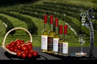 オーガニックトマトワイン｢Omerto Sec｣＆｢Omerto Moelleux｣ウェブで販売