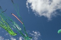 陽江市の伝統、重陽節に「凧揚げフェスティバル」が開催